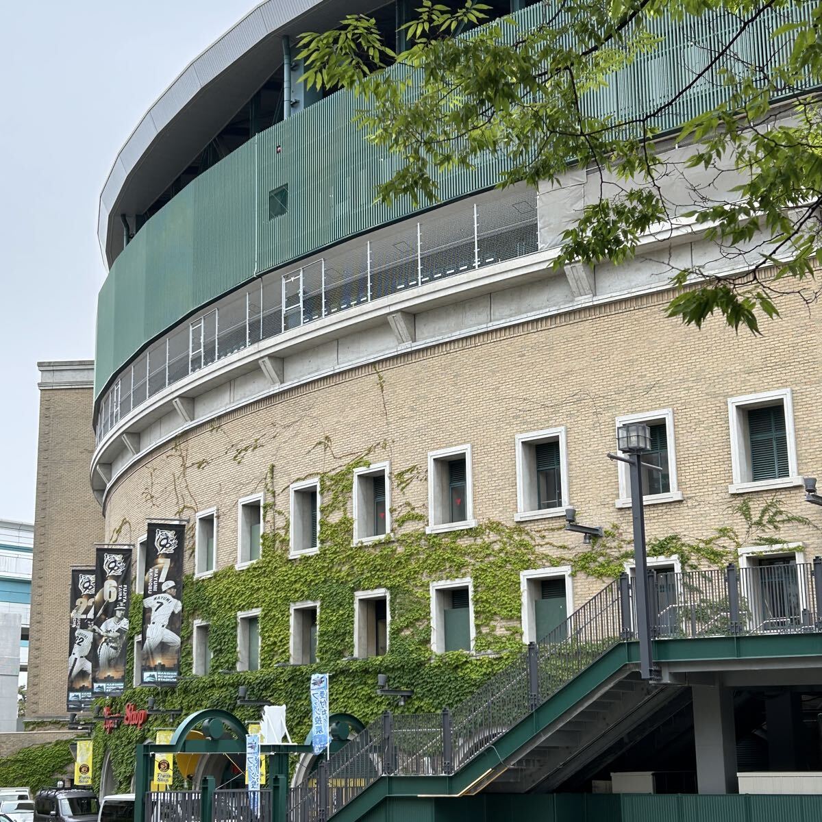 フリー素材 画像  甲子園 高校野球 聖地 阪神タイガース スポーツ拍卖