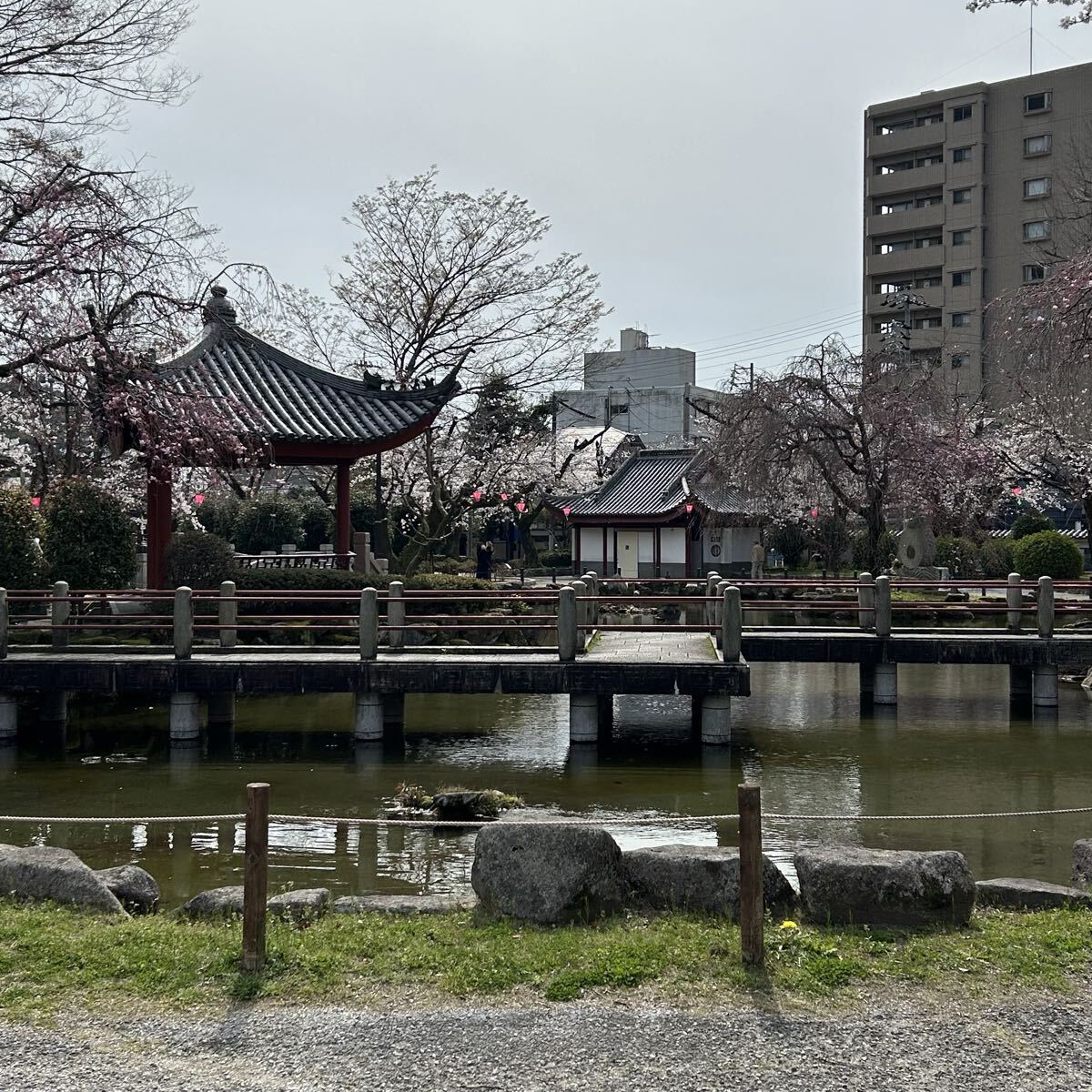 フリー画像データ フリー素材 春の岐阜公園 送料無料拍卖