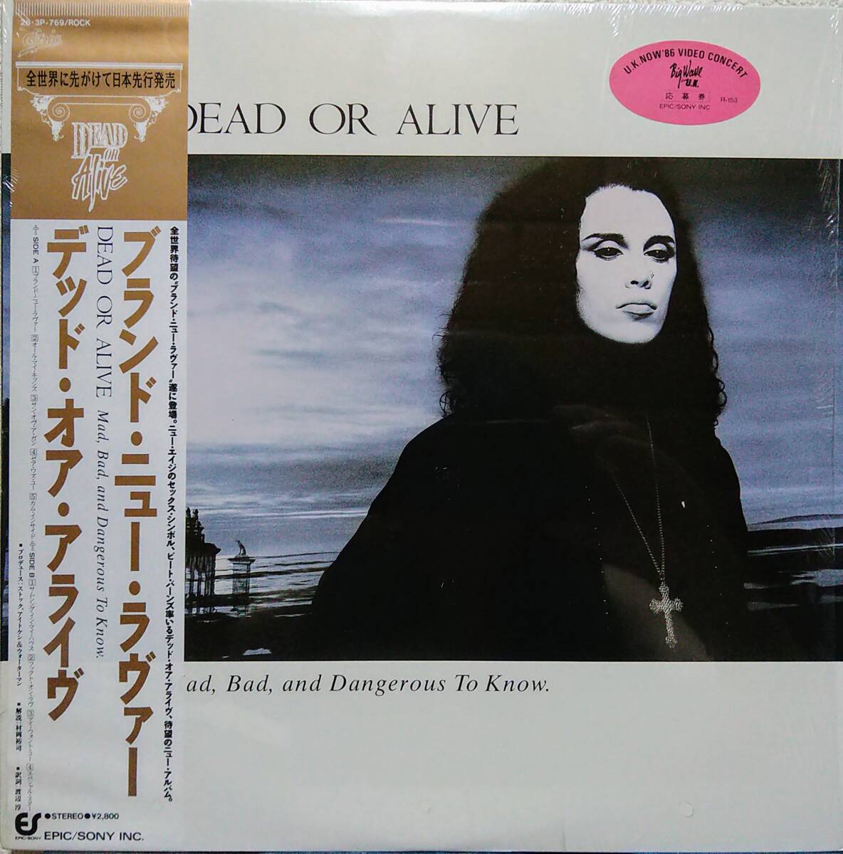 【LP Euro Beat】Dead Or Alive(デッド・オア・アライブ)「Mad Bad And Dangerous To Know」JPN盤 シュリンク付!拍卖