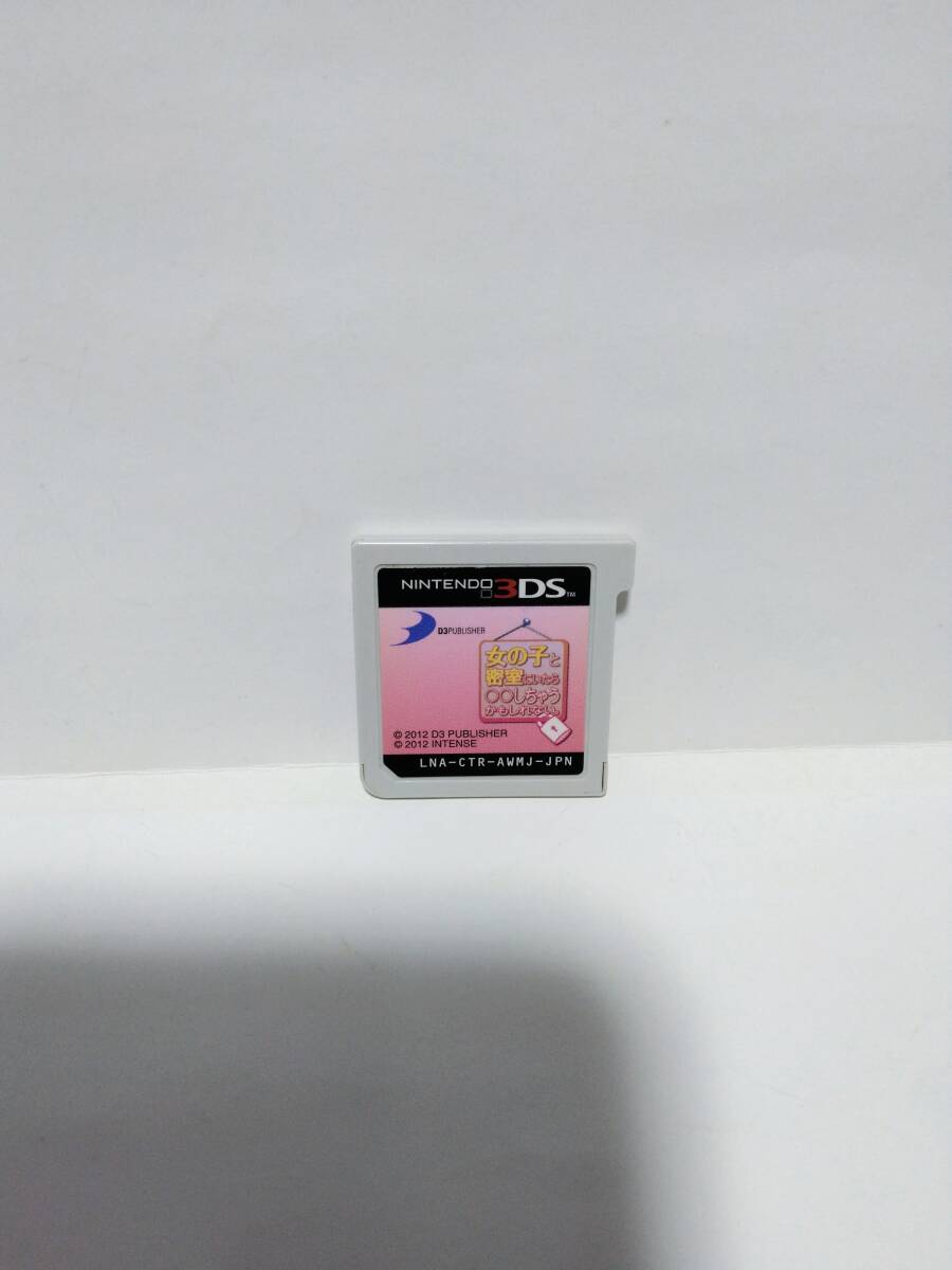 女の子と密室にいたら○○しちゃうかもしれない。 ニンテンドー3DS拍卖