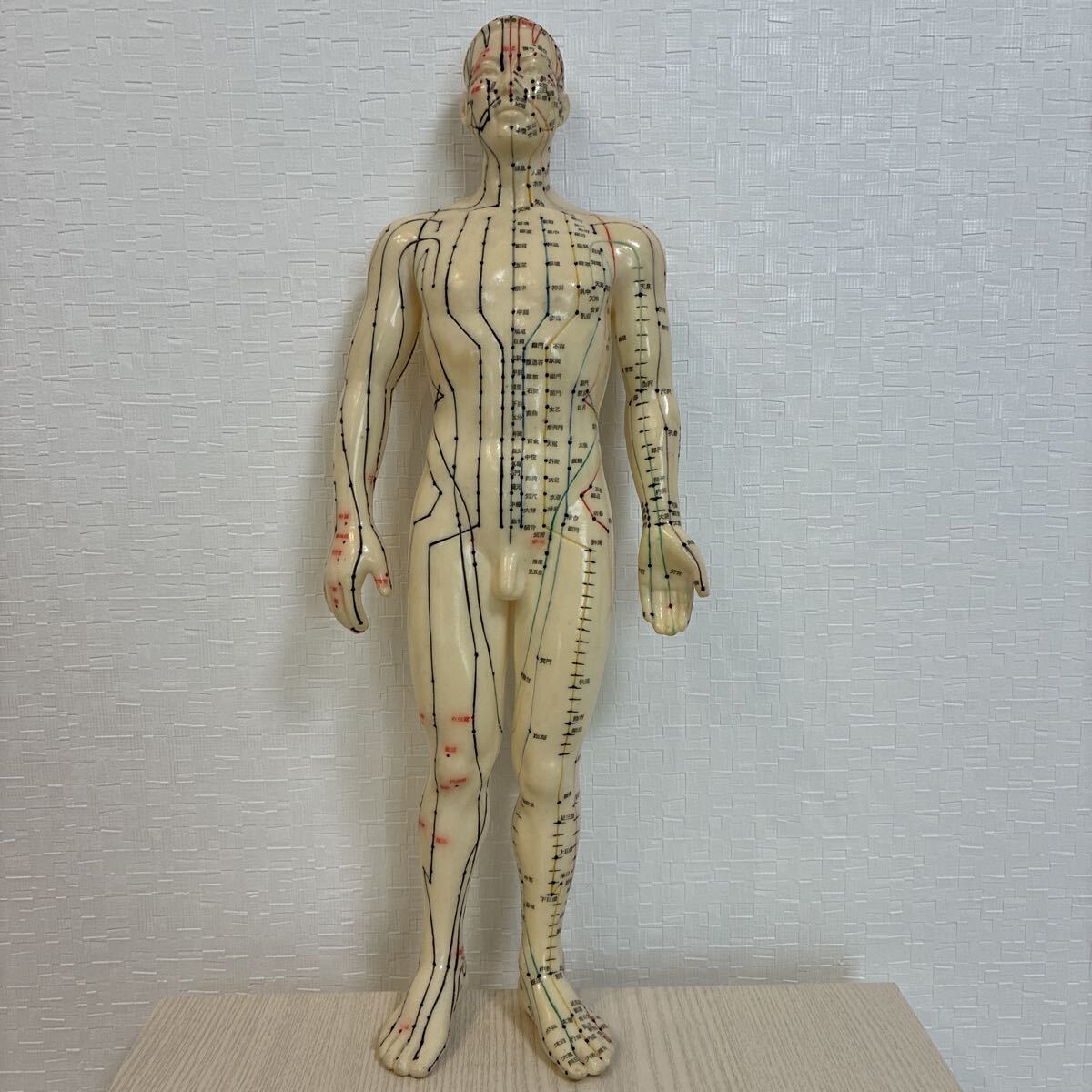 人体模型 ツボ 針灸 鍼灸経穴模型 経絡 モデル 整体 マッサージ 学習用 男性 ソフトビニール タイプ拍卖