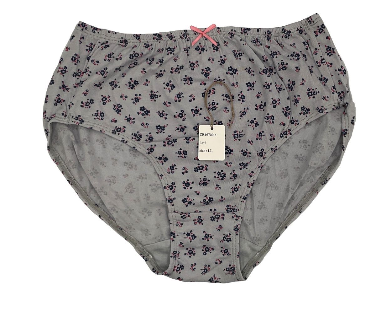 CR16720 IS⑦【特価】新品 ショーツセット LL 4枚 ブルーグレー 花柄 リボン 綿100% スタンダード 深履き レディース拍卖