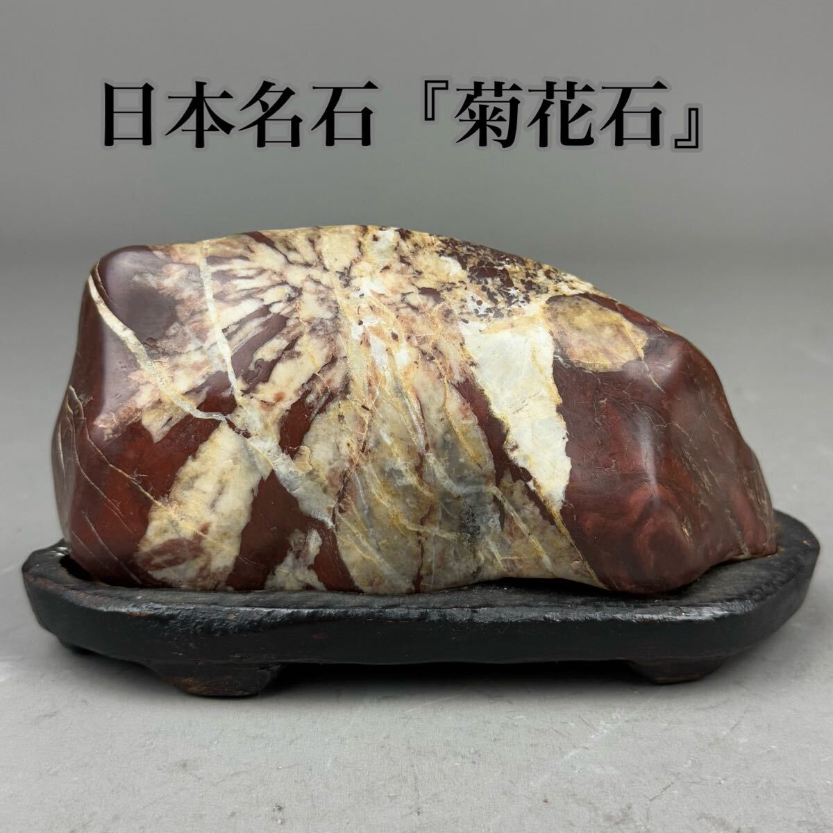 菊花石 水石 盆石 原石 天然石 花石 飾石 鑑賞石 鉱物 唐木台 台座 置物 盆景 日本名石 希少品 1148g拍卖