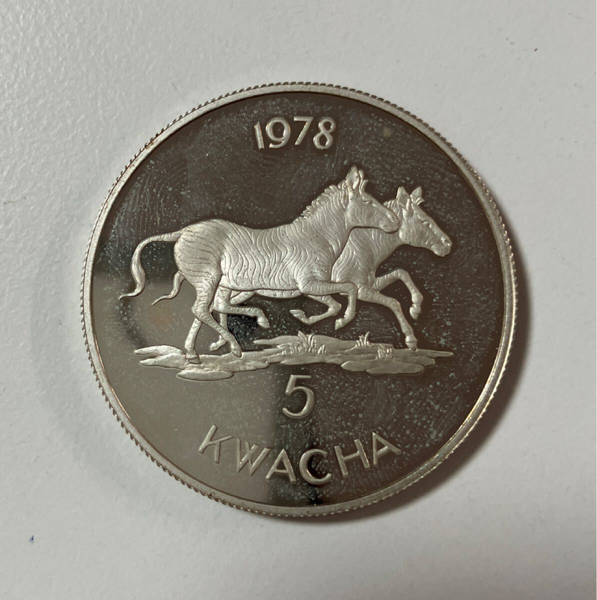 1978年 マラウイ 5クワチャ銀貨 アンティークコイン 外国古銭 ⑩ ★31拍卖