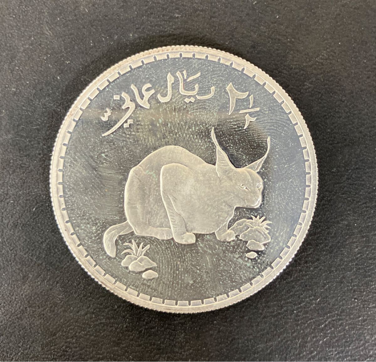 1990年 オマーン 2 1/2リアル・カラカル プルーフ 銀貨 絶滅危惧種シリーズ アンティークコイン 外国古銭 ⑮ ★28拍卖