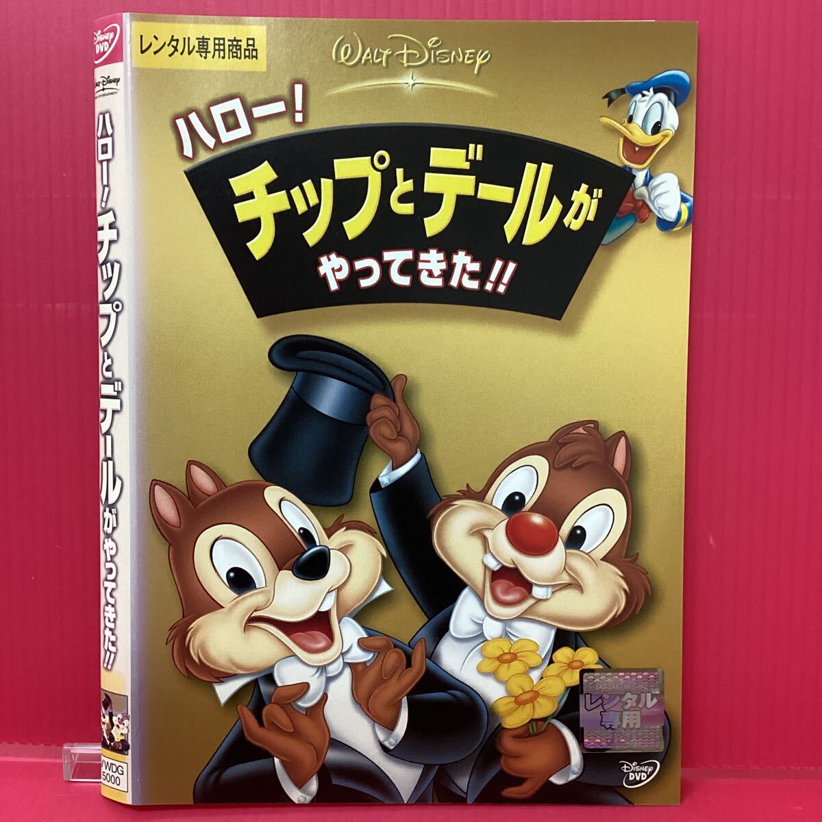 D2222-1☆中古☆ハロー!チップとデールがやってきた!!【レンタル落ち】【DVD】拍卖