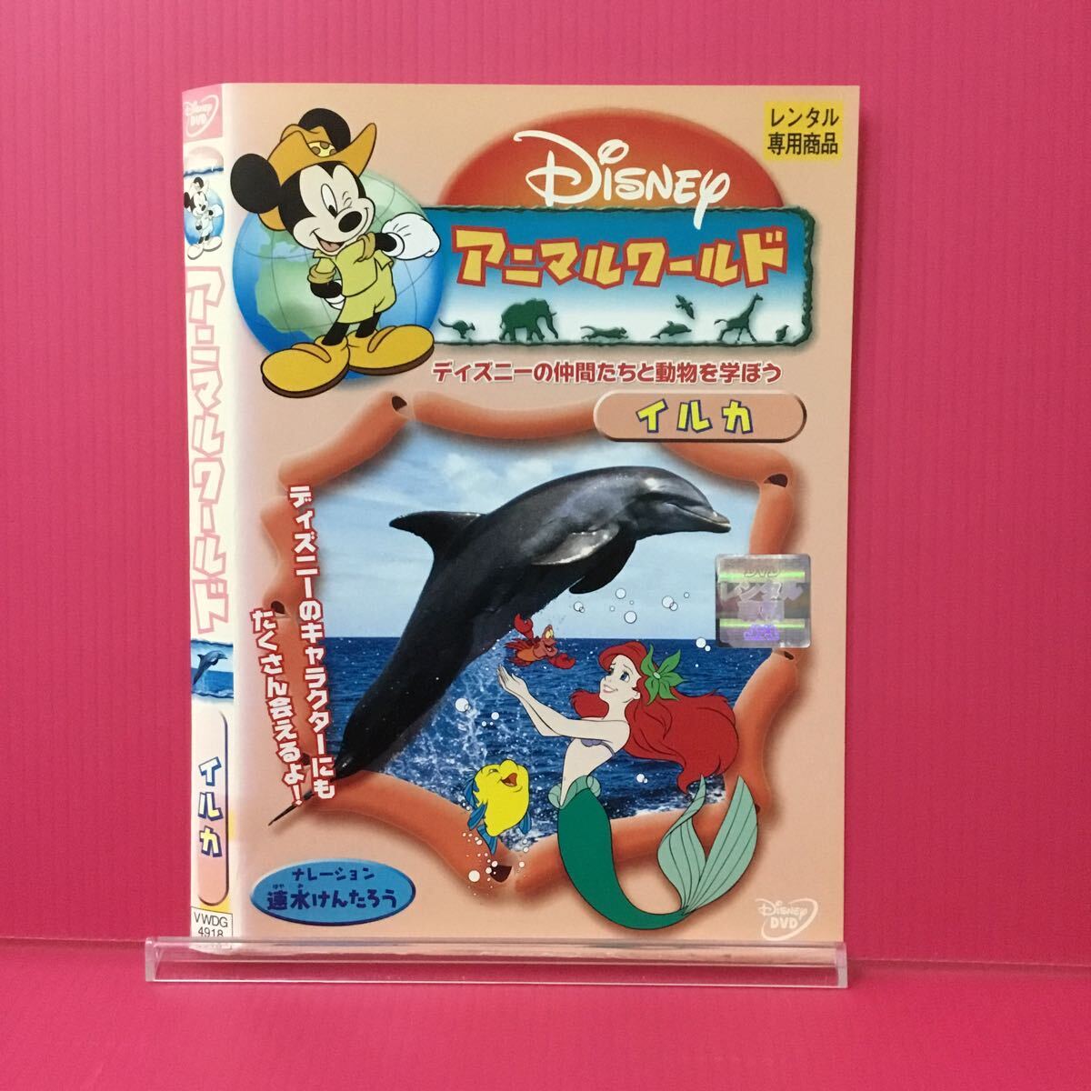 D2121-52☆中古☆アニマルワールド イルカ【レンタル落ち】【DVD】拍卖