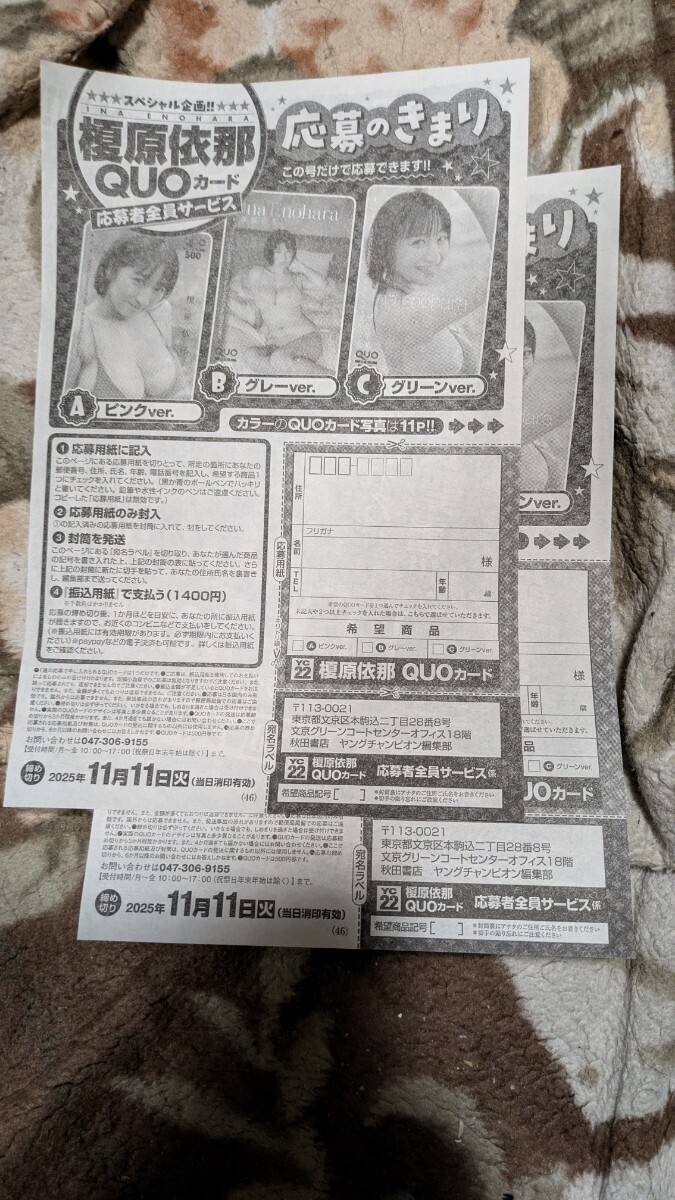 【2枚セット】「榎原依那」クオカ全サ応募ページ(ヤングチャンピオンNo.22)。送料85円(ミニレター)。応募締切11/13拍卖