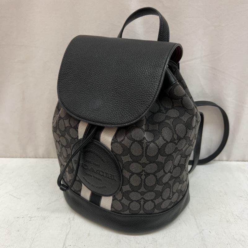 コーチ CE601 シグネチャー レザー切替 リュック -拍卖