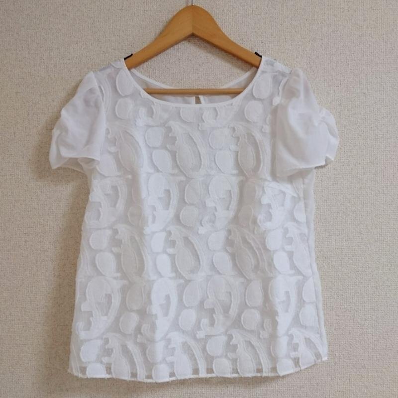 PEYTONPLACE M ペイトンプレイス シャツ、ブラウス 半袖 Shirt Blouse 白 / ホワイト / 10036683拍卖