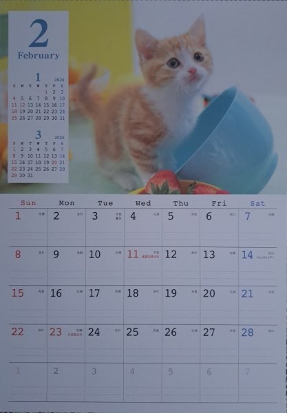 【送料無料 すぐに発送:可愛い 「猫」 カレンダー:A3:44x29cm】★2026年:壁掛け:子猫・ねこ・ネコ・暦 こよみ:12面拍卖