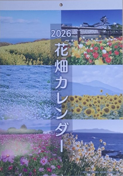 【送料無料:綺麗な「花畑」 カレンダー:A3 2026年】★癒される「花畑」:A3:42x30cm★花・フラワー はな 風景:壁掛け 暦拍卖