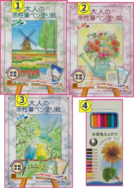 【送料無料 選べる 4点 大人のぬりえ,色鉛筆】★水性筆ペン塗り絵:初心者:心を安定:ストレス解消:風景 花 生き物 ぬり絵 認知症予防 脳トレ拍卖