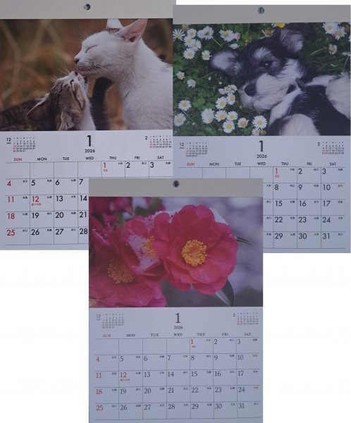 【送料無料:選べる 2冊:可愛い 「子猫 or 子犬 or 花柄」:カレンダー A4:30 x21cm】★2026:壁掛け:猫,ねこ,ネコ,犬,いぬ,イヌ,フラワー:暦拍卖