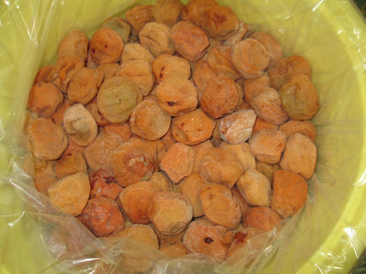 無添加 紀州南高梅白干し Lサイズ ガリ梅干し 約1.5キロ拍卖