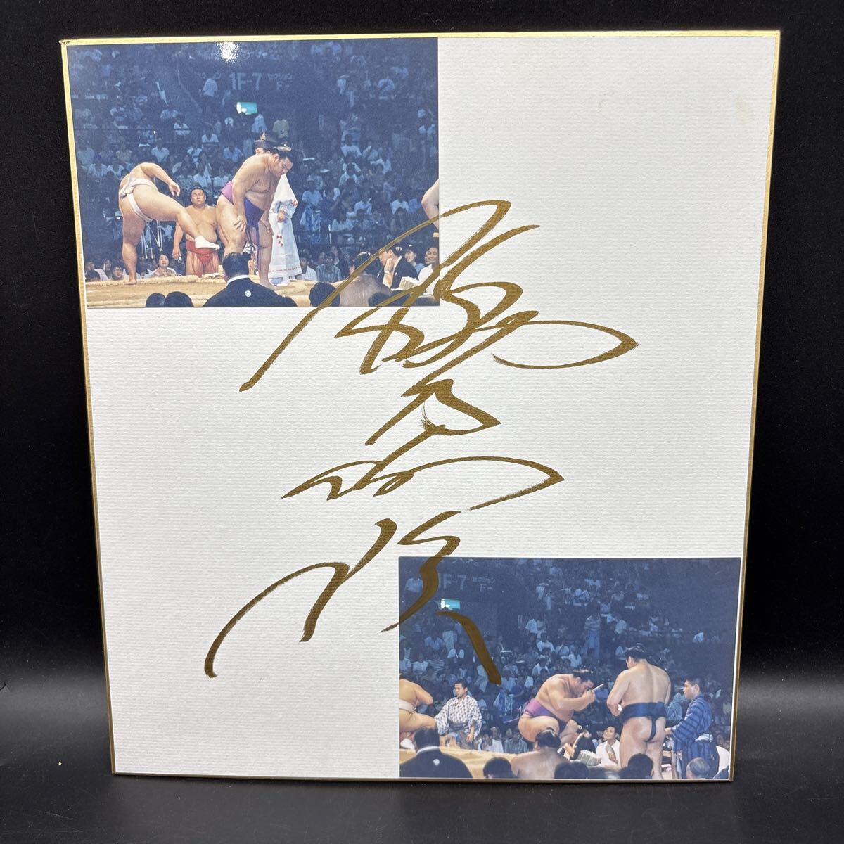 大相撲 直筆サイン色紙 栃乃和歌 栃乃和歌清隆 春日野部屋所属 東関脇拍卖