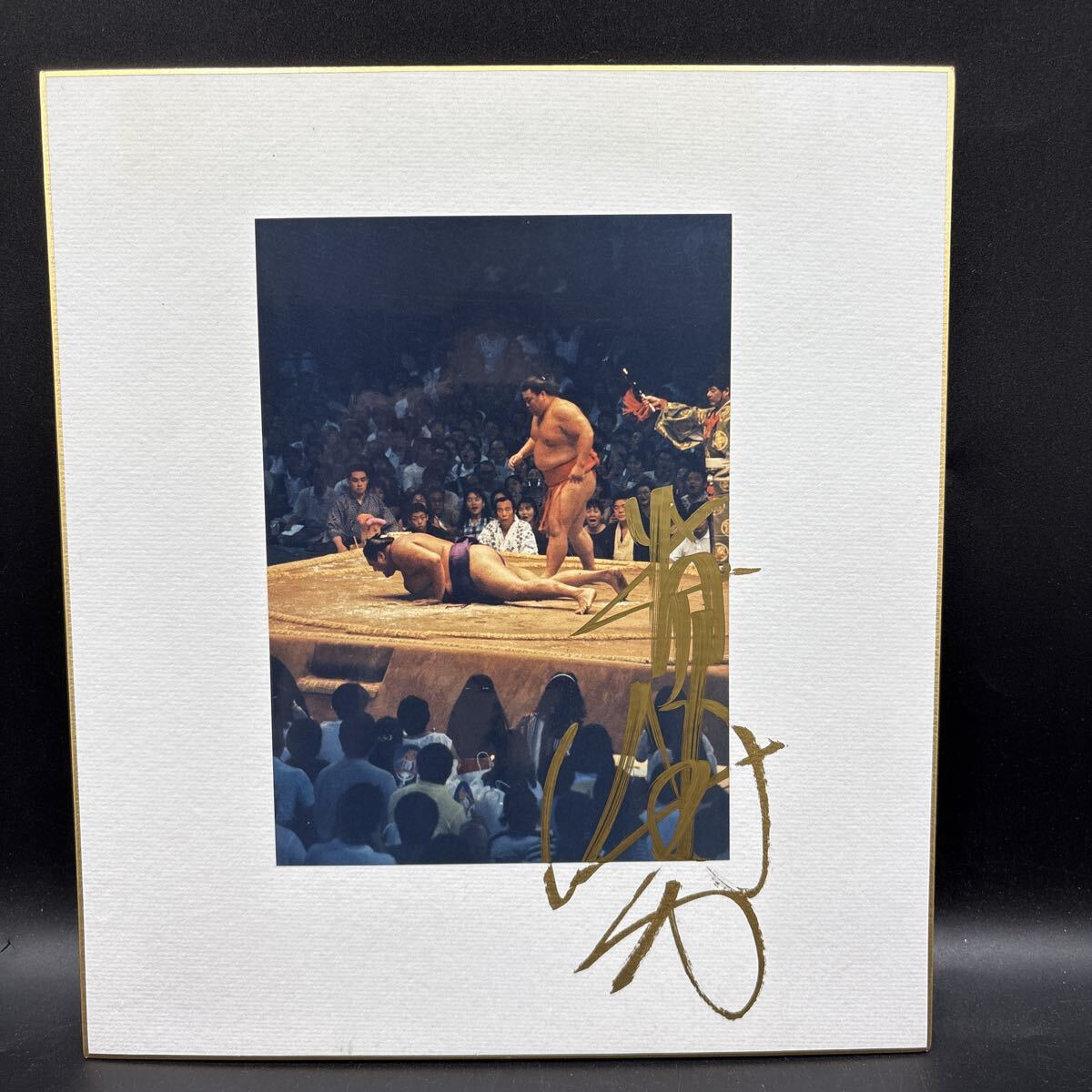 大相撲 直筆サイン色紙 貴闘力 貴闘力忠茂 二子山部屋(入門時は藤島部屋)東関脇 曙キラー プロレスラー拍卖