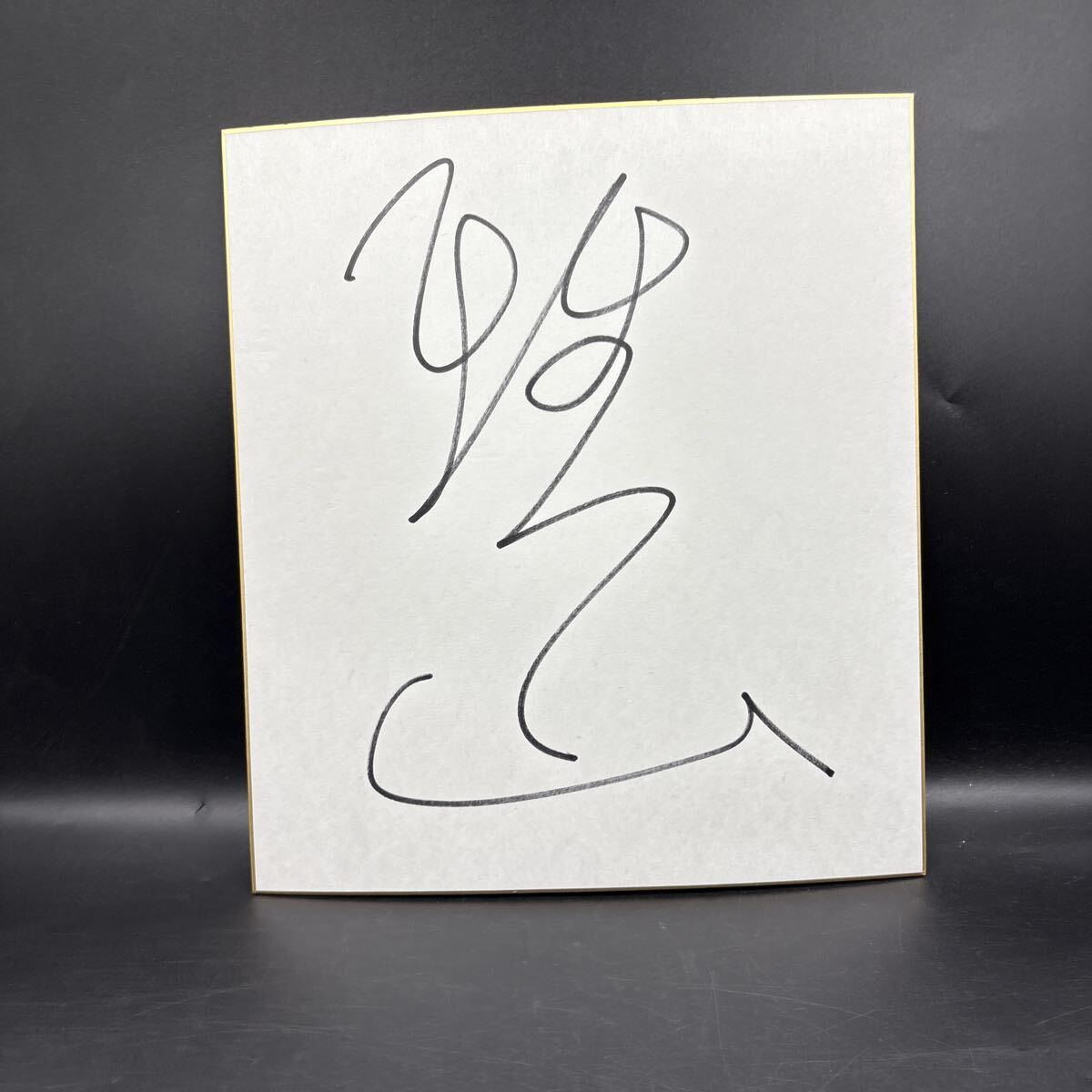 大相撲 直筆サイン色紙 雅山 雅山哲士 藤島部屋(入門時は武蔵川部屋)西大関 年寄・二子山拍卖