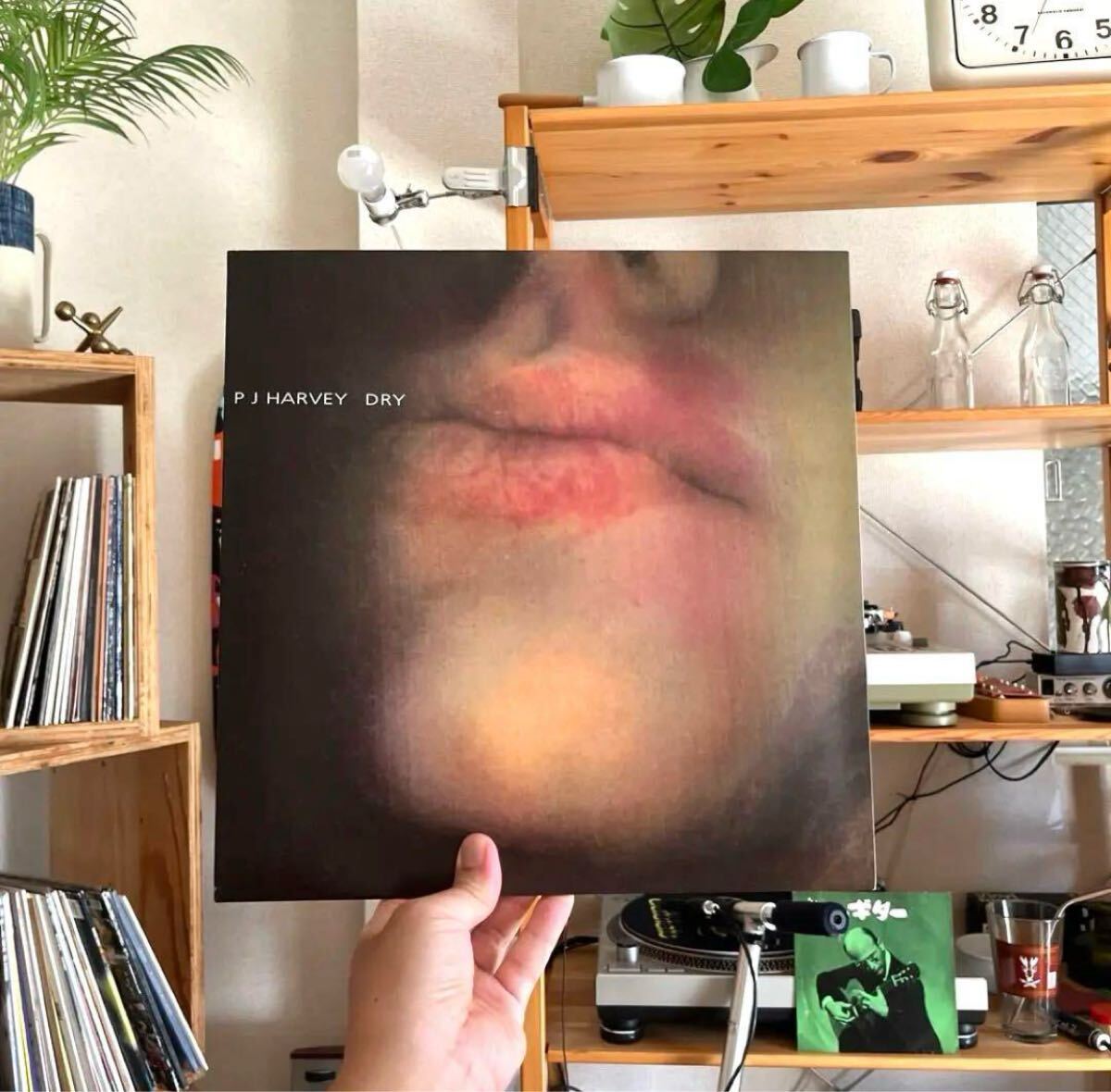 PJ HARVEY / DRY USED リイシュー盤 USED LP です 配送料無料 オルタナ オルタナティブ パンク STEVE ALBINI JOHN FRUSCIANTE拍卖