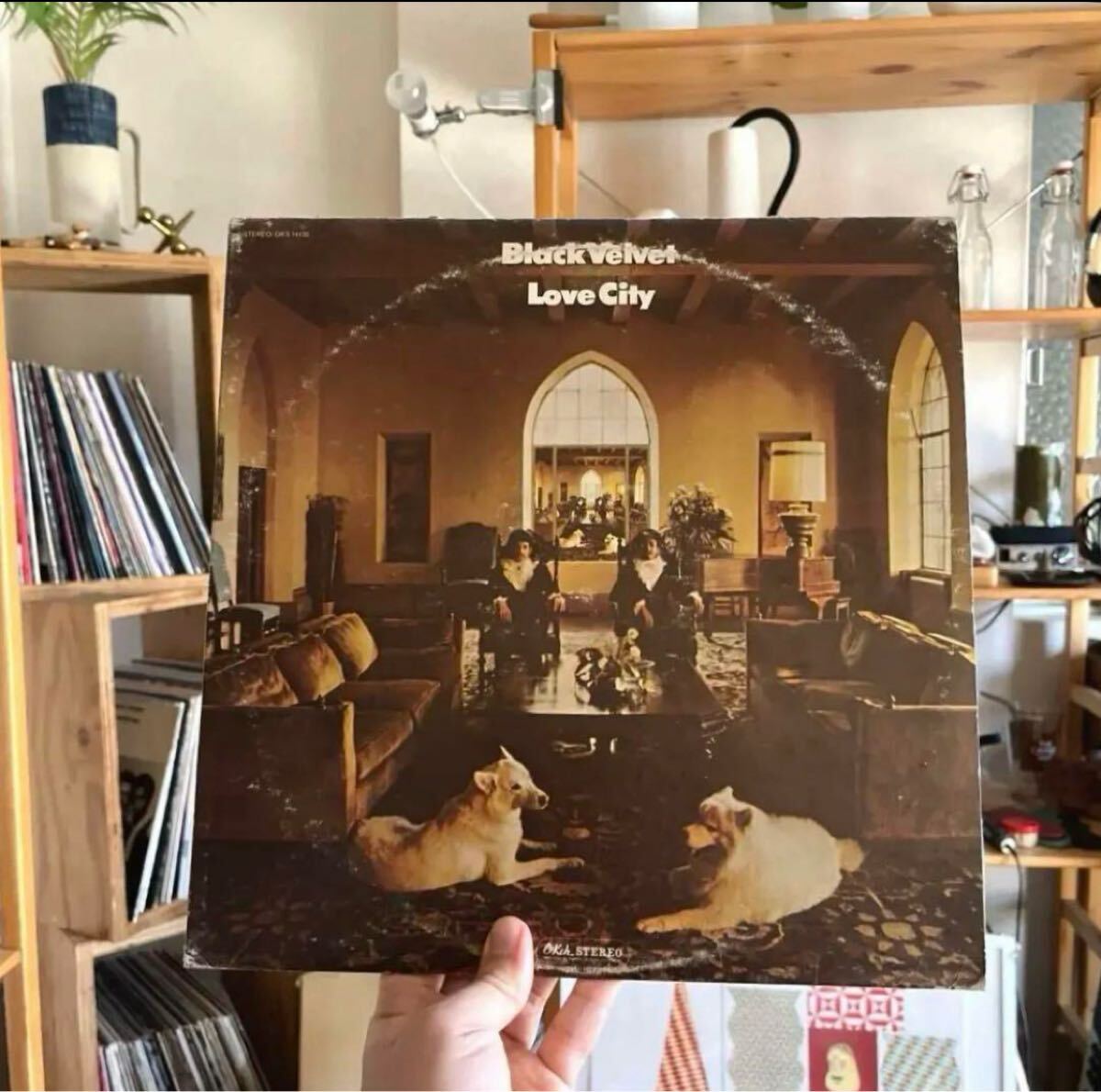 BLACK VELVET - LOVE CITY USED レコード アナログ ブラックベルベット ソウル ファンク LG 1969 60s RARE GROOVE 配送料無料 拍卖