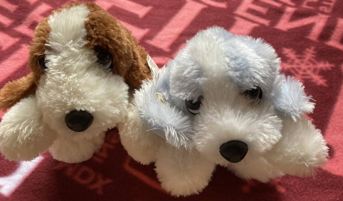 AURORA オーロラ社 Hush Puppies ハッシュパピー ぬいぐるみ 犬 2匹拍卖