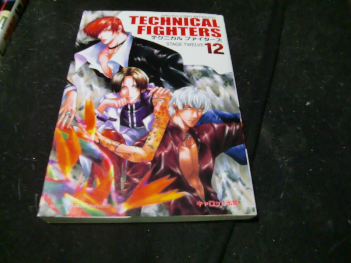 テクニカルファイターズ(12) 格闘コミックアンソロジー 43673拍卖