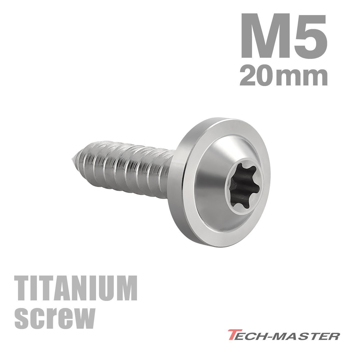 M5×20mm 64チタン合金 タッピングネジ トルクス穴付き シルバーカラー 1個 JA1267拍卖