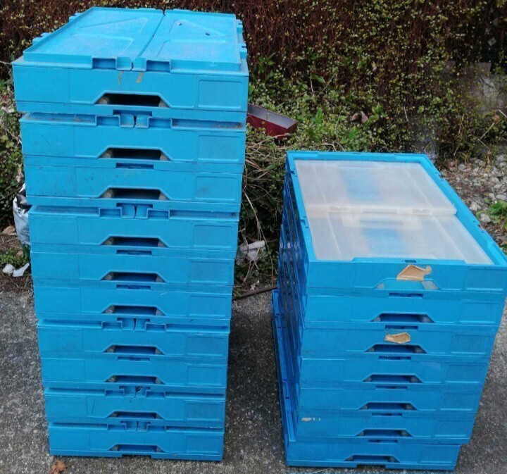 折りたたみコンテナ小 コンテナボックス SEKISUI スタッキング 積み重ね 折り畳み 幅52.5cm、奥行36cm、高さ9.5cm、展開時の高さ32cm拍卖