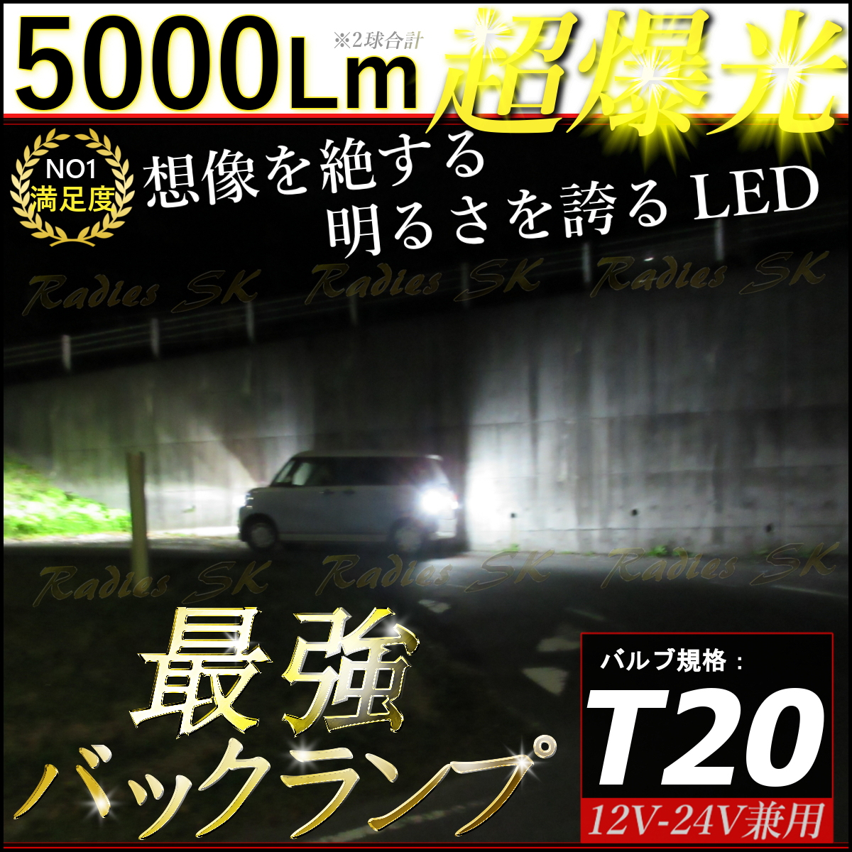T20 ホワイト 爆光LED 12V 24V 2個 バックランプ ポジション ホワイト ライセンス Radies SK 5000lm モデル キャンバス拍卖