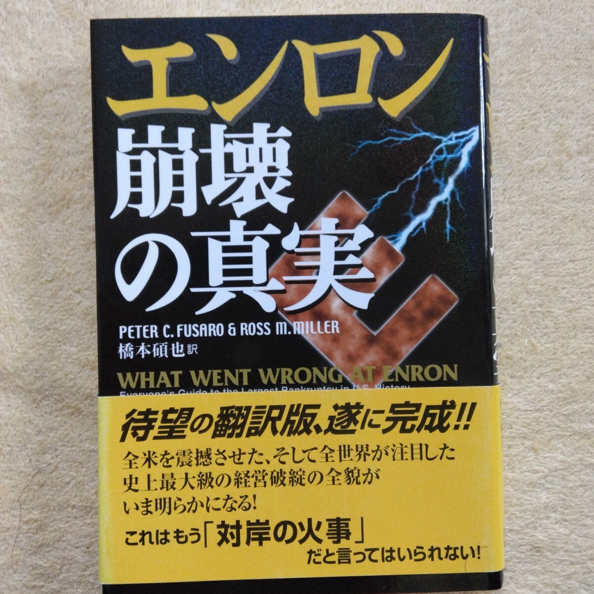 エンロン 崩壊の真実拍卖