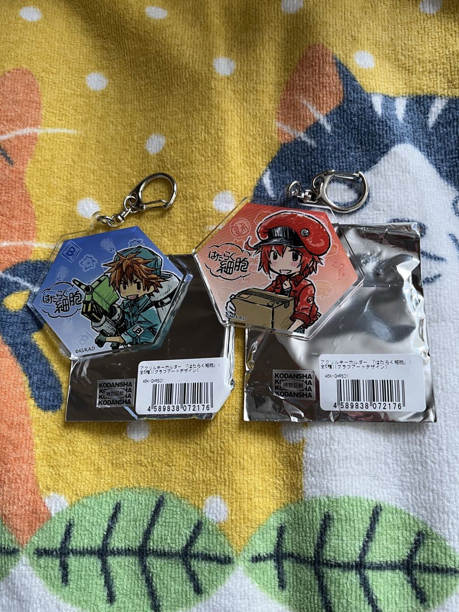 はたらく細胞 アクリルキーホルダー ★赤血球 B細胞★2個セット グラフアートデザイン拍卖