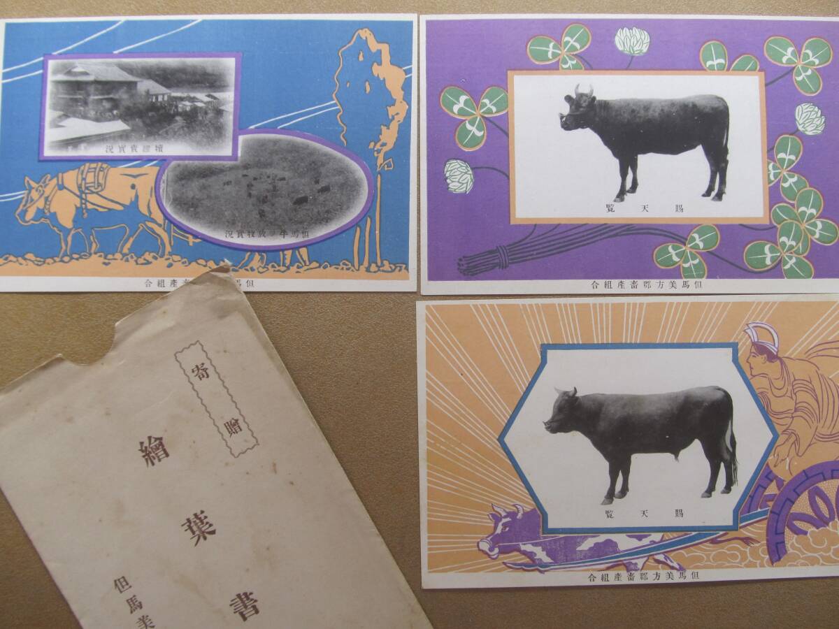 明治大正 兵庫【但馬美方郡畜産組合】繪葉書 3枚,袋 *牛*拍卖