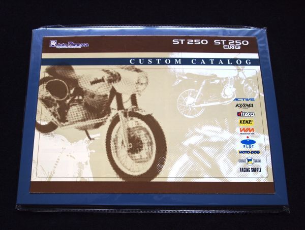スズキ ST250・Eタイプ 2003年 カスタマイズカタログ・美美品・送料込み!拍卖