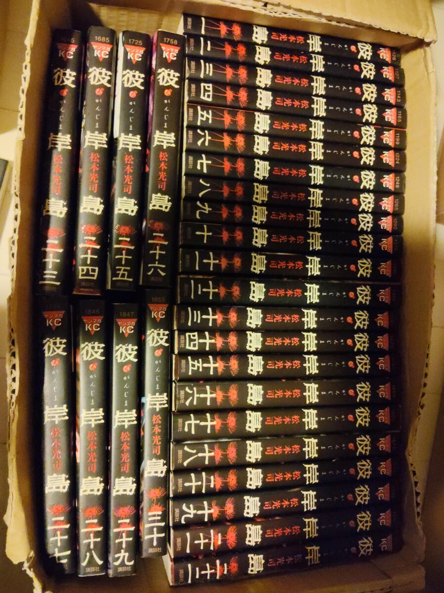 彼岸島 全31巻セット 松本光司 +兄貴編拍卖