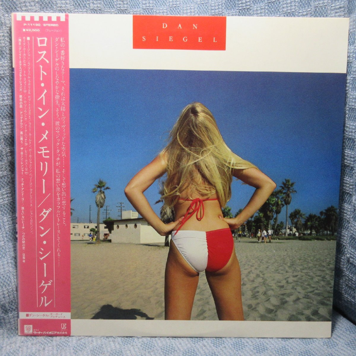 VA448●P-11190 ダン・シーゲル「ロスト・イン・メモリー」LP(アナログ盤)拍卖