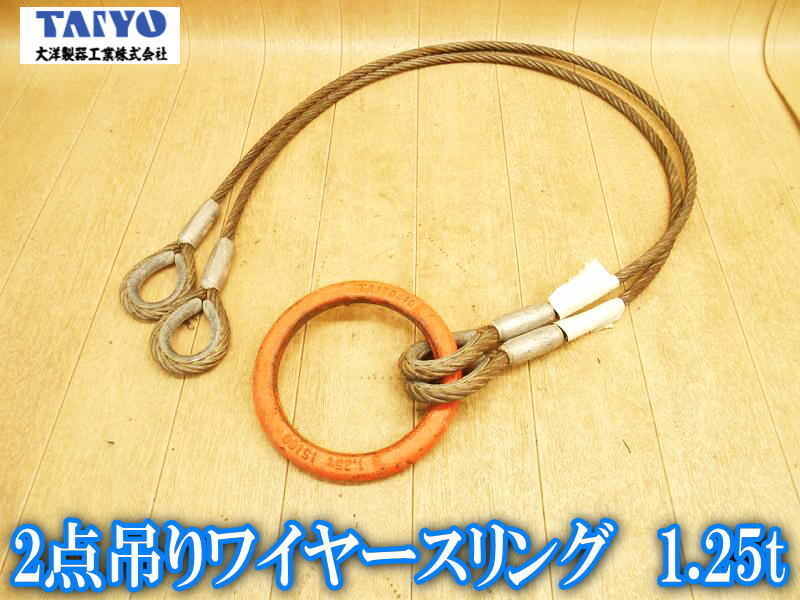 大洋製器 TAIYO 2点吊りワイヤースリング 15100 1.25t ワイヤー スリング ワイヤスリング ワイヤースリング ワイヤーロープ 玉掛け拍卖