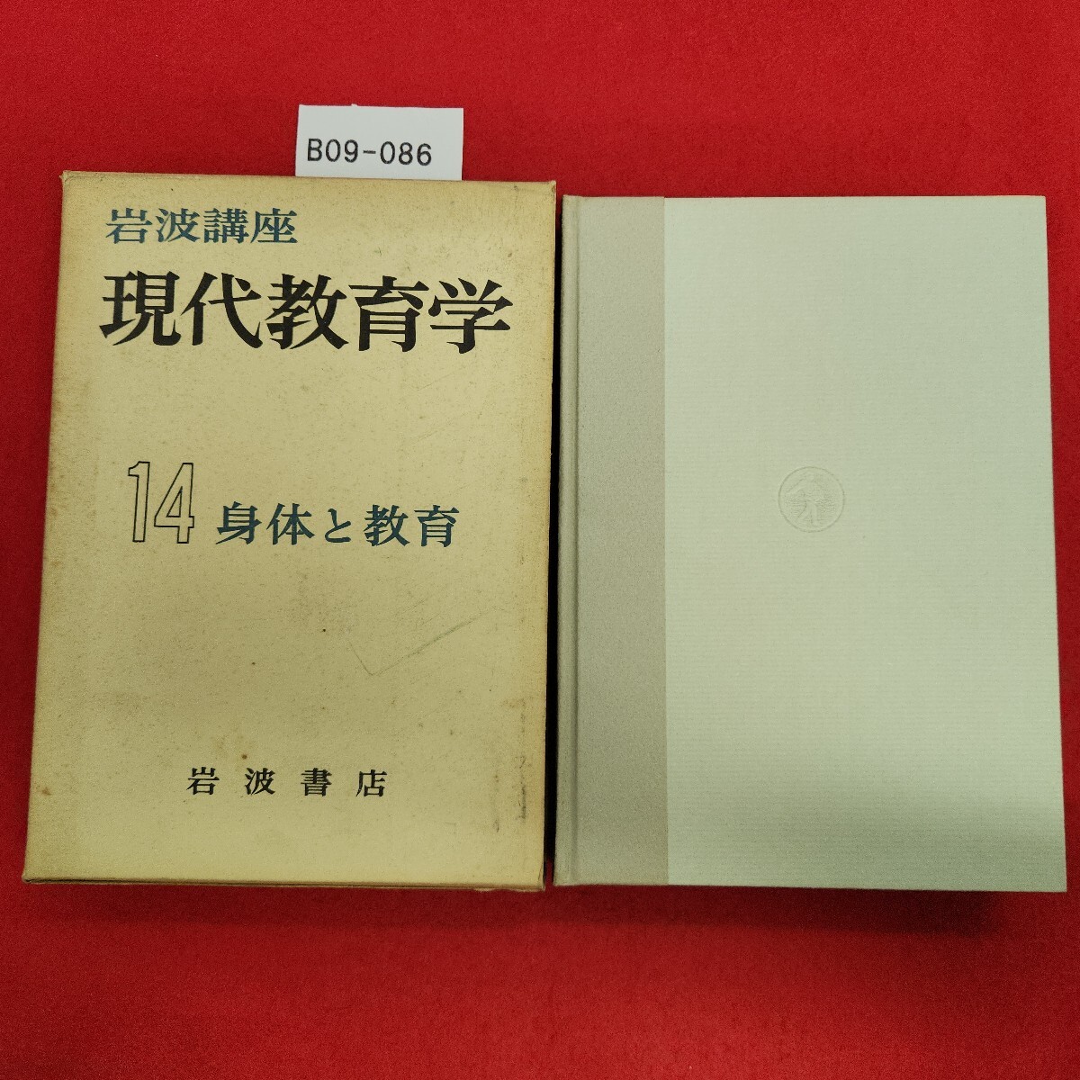 B09-086 現代教育学 14 身体と教育 岩波書店 外箱傷みあり。拍卖