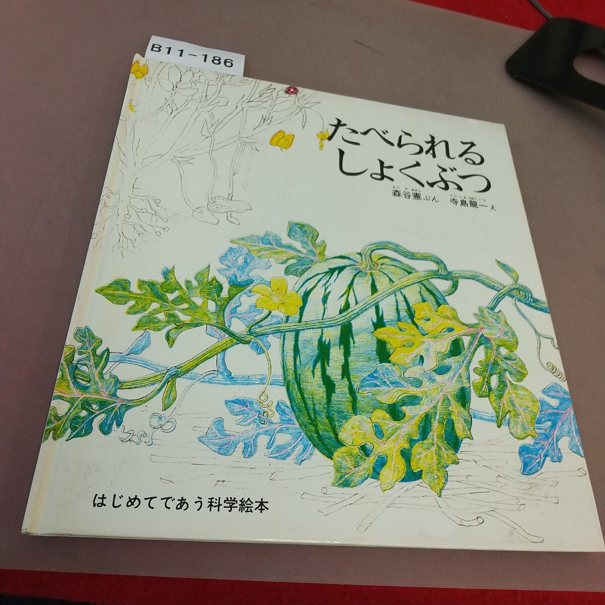 B11-186 たべられるしょくぶつ はじめてであう科学絵本2 福音館書店拍卖