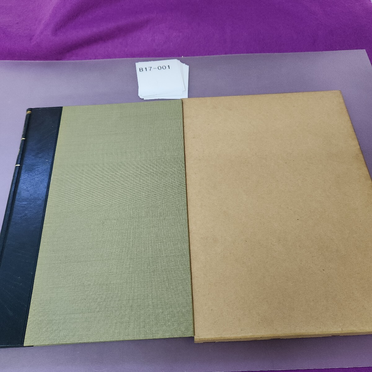 B17-001 日本眼科全書 XX 交感性眼炎拍卖
