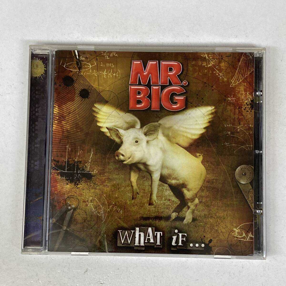 HR3236 CD *MR. BIG* WHAT IF...拍卖