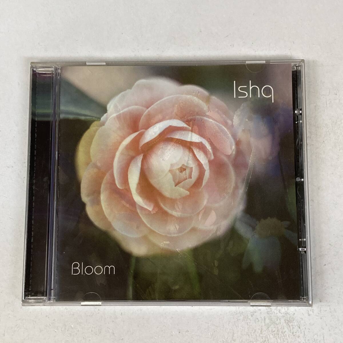 PR6491 CD *Ishq* Bloom 拍卖