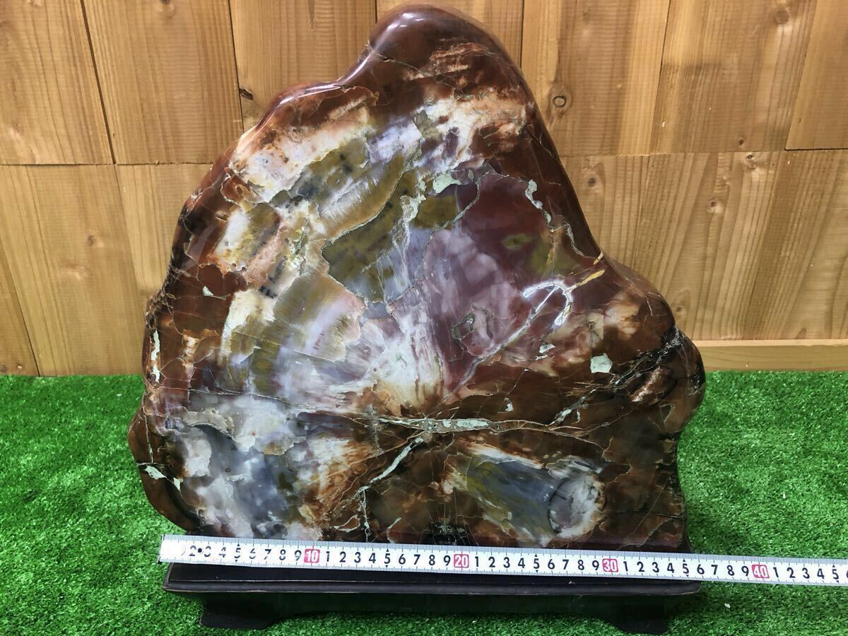 【1円スタート】珪化木 ペトリファイドウッド 鑑賞石 天然石 原石 置物 鉱物 インテリア オブジェ 鉱石拍卖