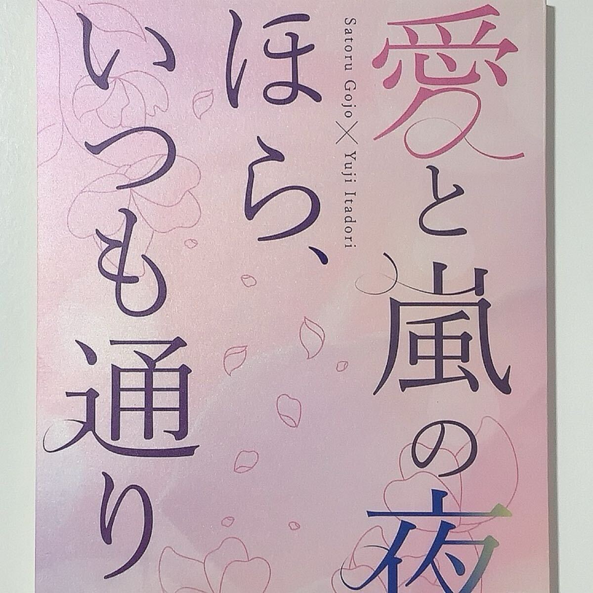 【呪術廻戦】愛と嵐の夜、ほら、いつも通り 水餃子食べたい 奈津山 同人誌 小説 五悠 五条悟×虎杖悠仁拍卖