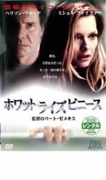 再生確認済レンタル落ち DVD「ホワット・ライズ・ビニース」送料 140/180/185/210 円拍卖