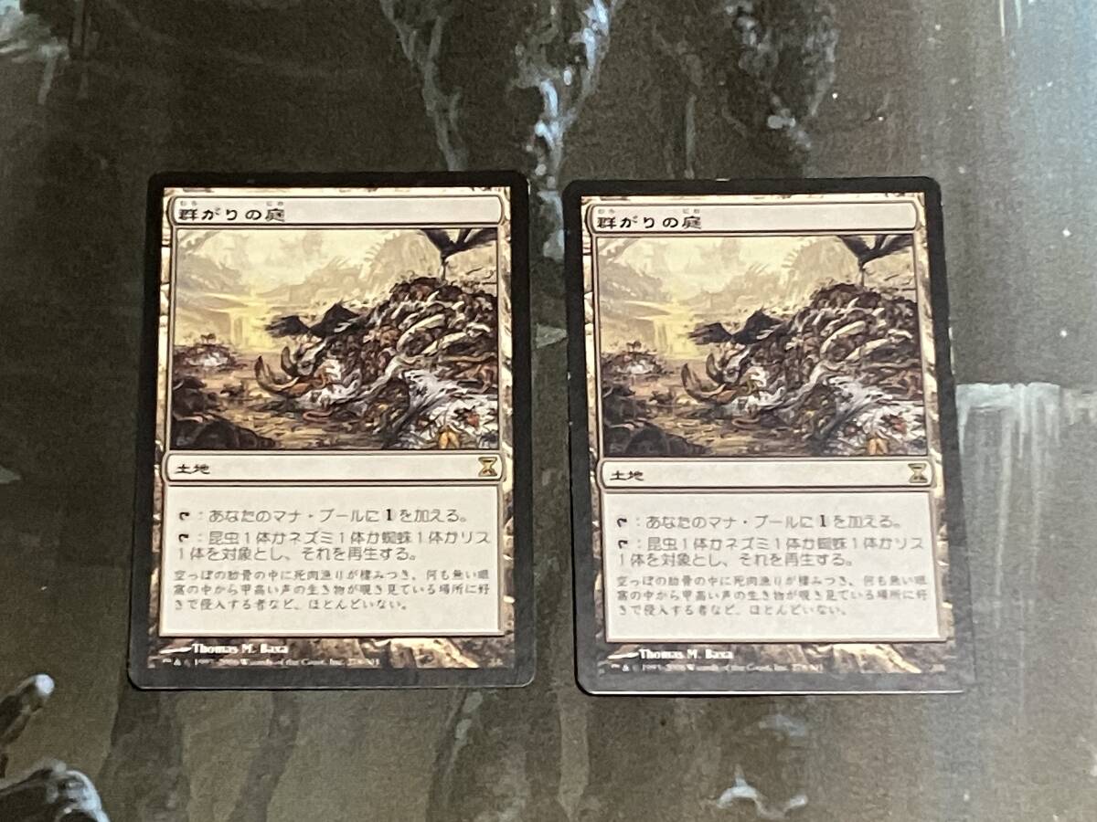 【1枚の価格です】MTG 群がりの庭/Swarmyard 日 2枚迄 TSP拍卖