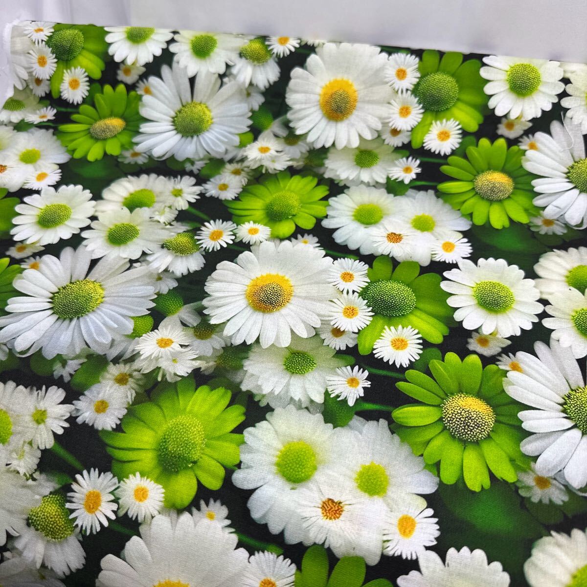 USAシーチング綿100%.生地幅110cm×50cm.菊花2319拍卖