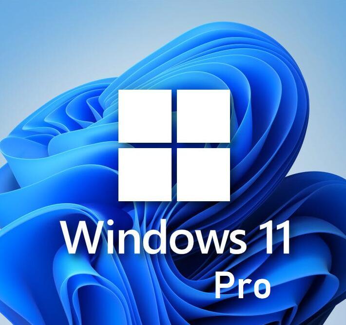 Windows11 ProダブルOSソフトウェア旧型落ち古いPC導入Win10&11切替可能DVD&USB不要インストールTPM2.0回避プロダクトキー付アップグレード拍卖