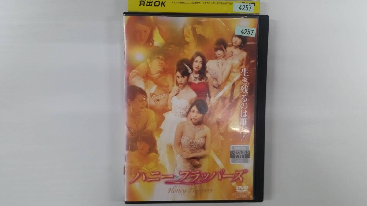 YD10120 DVD【ハニー・フラッパーズ】☆(出演 坂口杏里 他)☆現状渡し※ケース無し発送拍卖