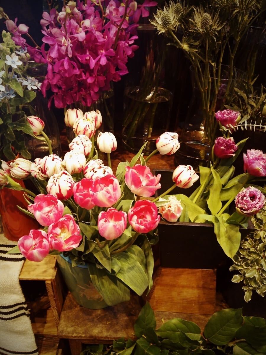 男気 相互評価 コメント不要 送料無料 フリー素材 画像データ x8nkuaxka5nt55k58h4kkku拍卖