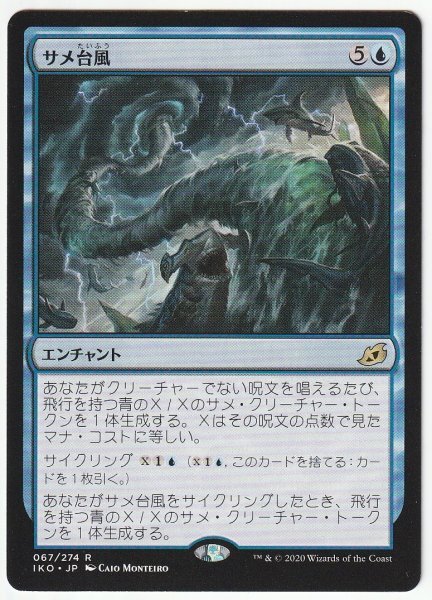 IKO サメ台風/Shark Typhoon 日本語1枚拍卖